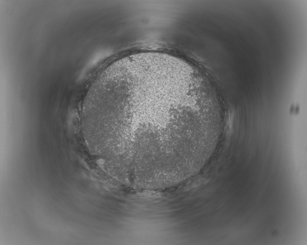 X0000112521446200909141211