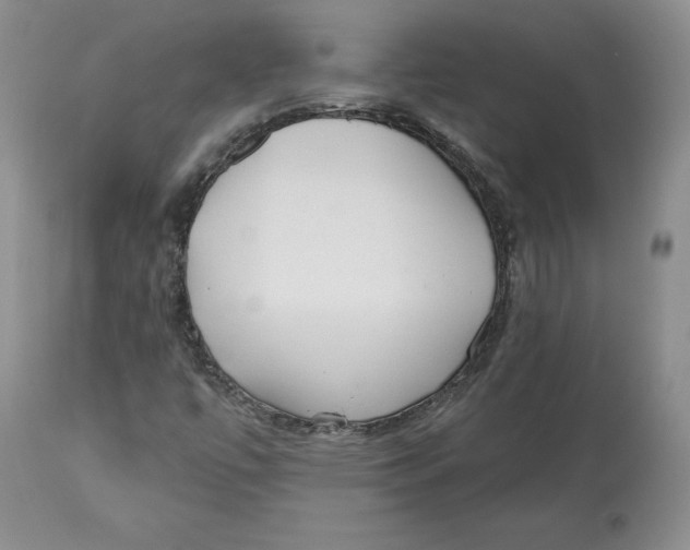 X0000112521447200909141211