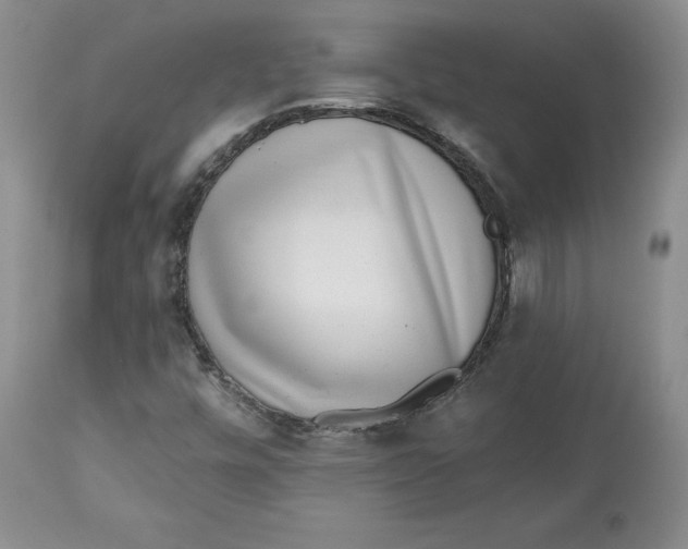 X0000112521448200909141211