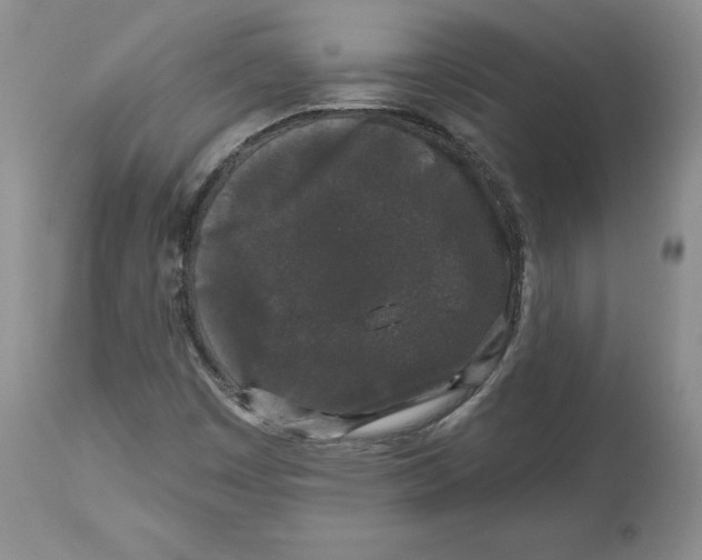 X0000112521449200909141211