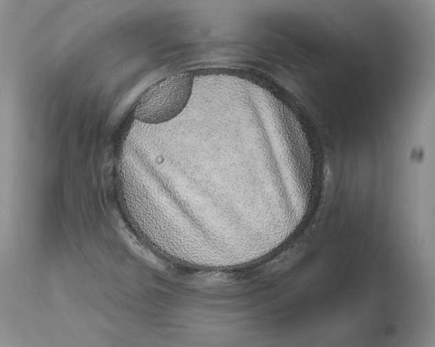 X0000112521450200909141211