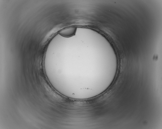 X0000112521451200909141211