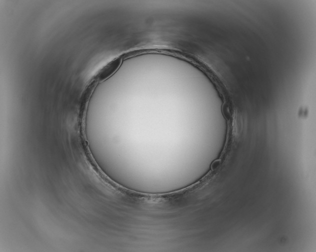 X0000112521452200909141211