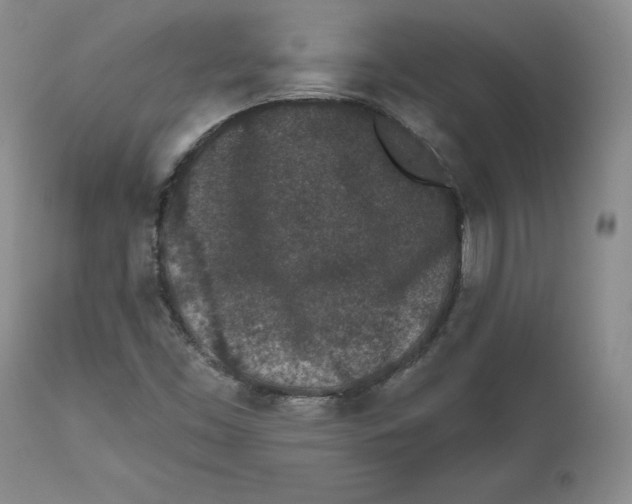 X0000112521453200909141211