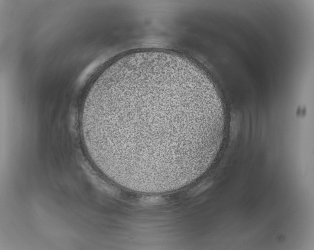 X0000112521454200909141211