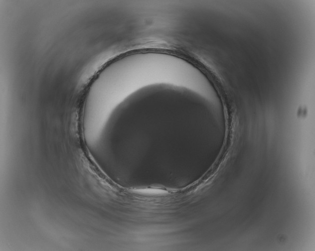 X0000112521455200909141211