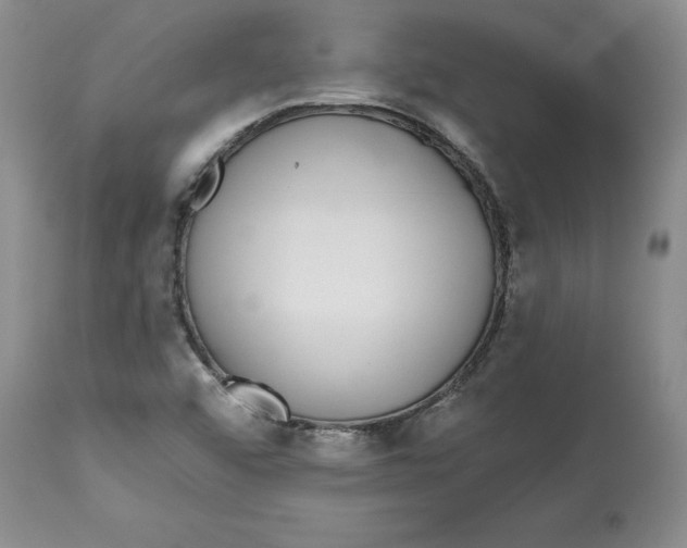 X0000112521456200909141211