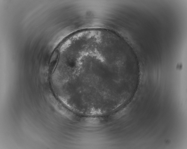 X0000112521457200909141211