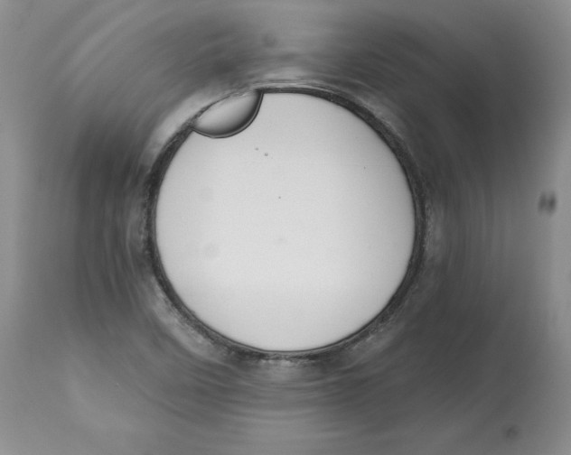 X0000112521458200909141211