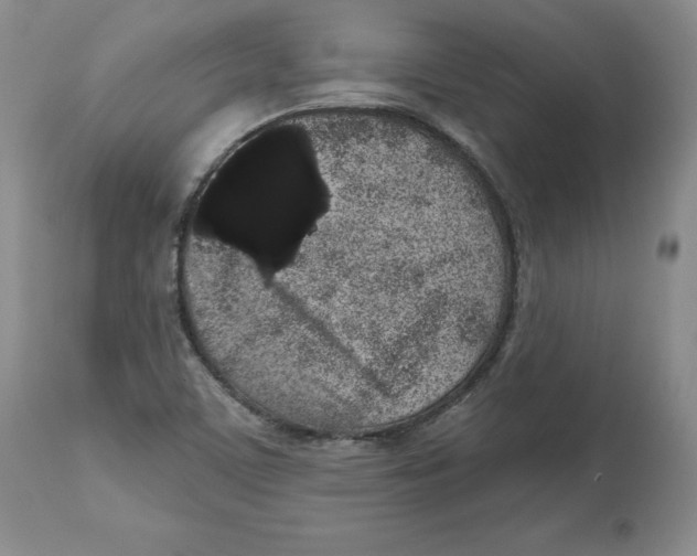 X0000112521459200909141211
