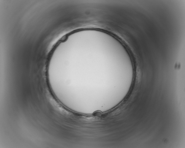 X0000112521460200909141211