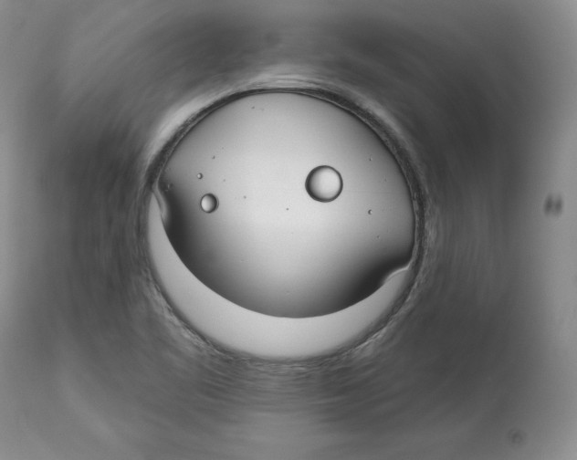 X0000112521461200909141211