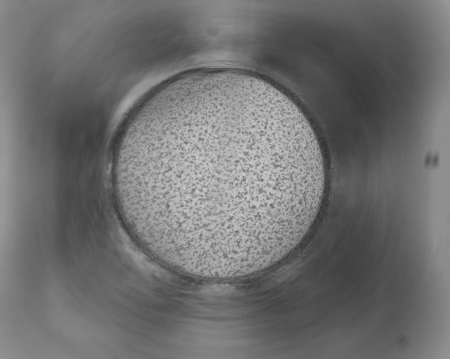 X0000112521462200909141211