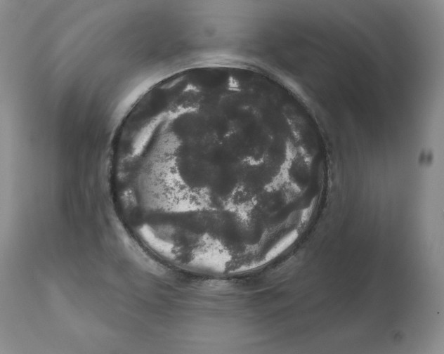 X0000112521463200909141211