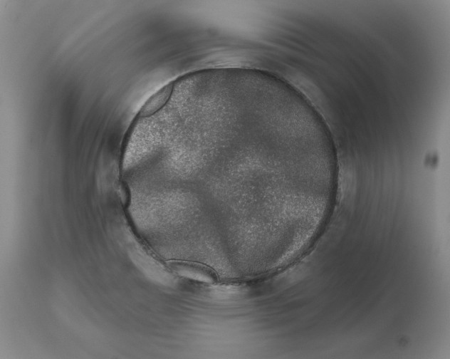 X0000112521465200909141211