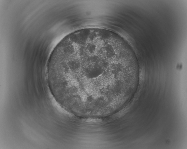 X0000112521466200909141211