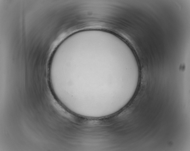 X0000112521467200909141211