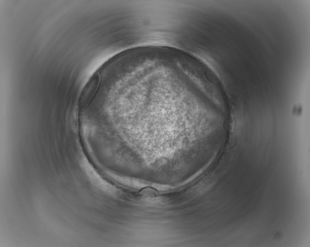 X0000112521468200909141211