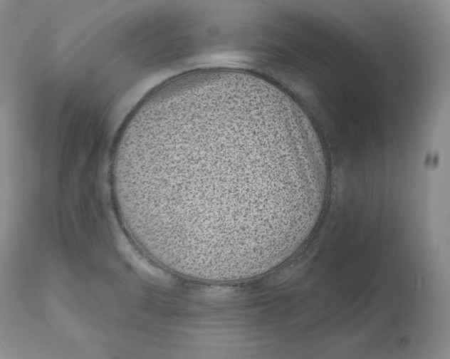 X0000112521470200909141211