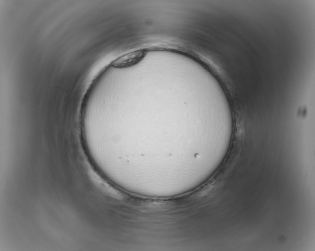 X0000112521471200909141211