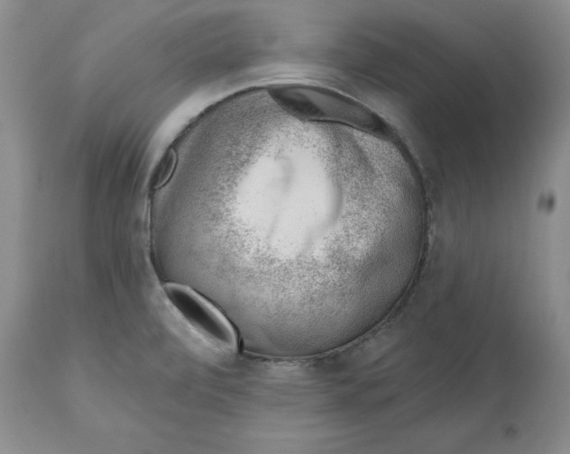 X0000112521472200909141211