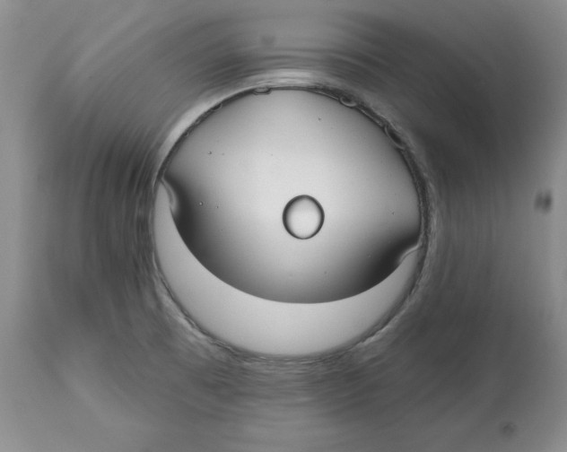 X0000112521473200909141211