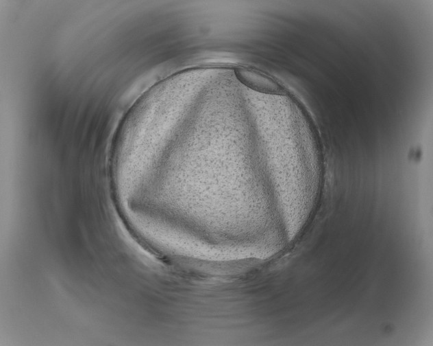 X0000112521475200909141211