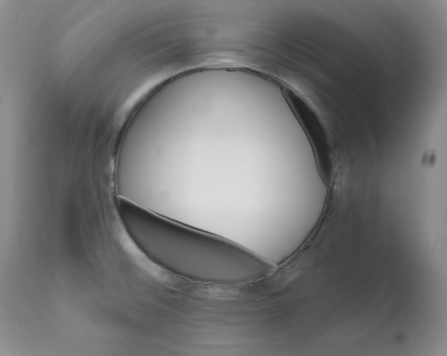 X0000112521476200909141211