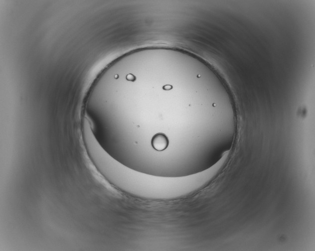 X0000112521480200909141211