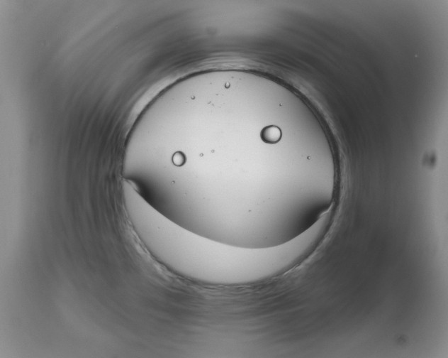 X0000112521481200909141211