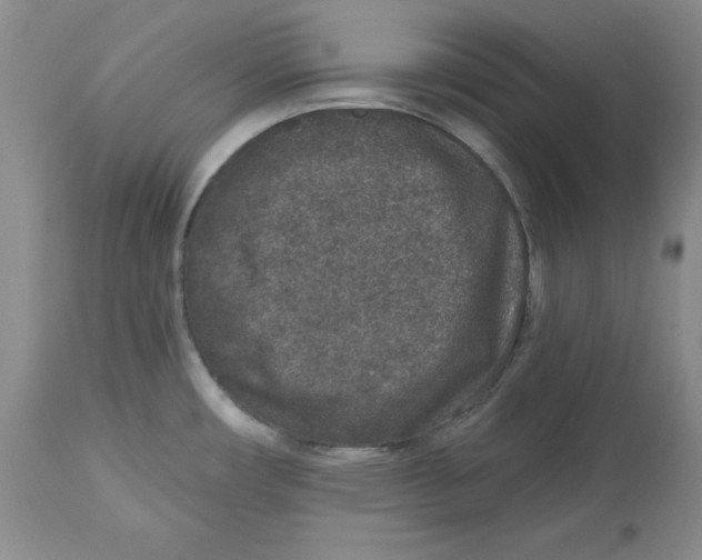 X0000112521482200909141211