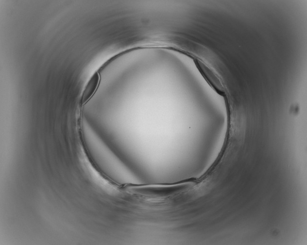 X0000112521484200909141211