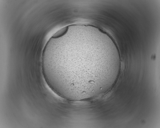 X0000112521487200909141211