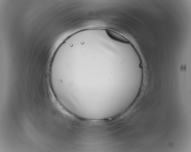 X0000112521488200909141211