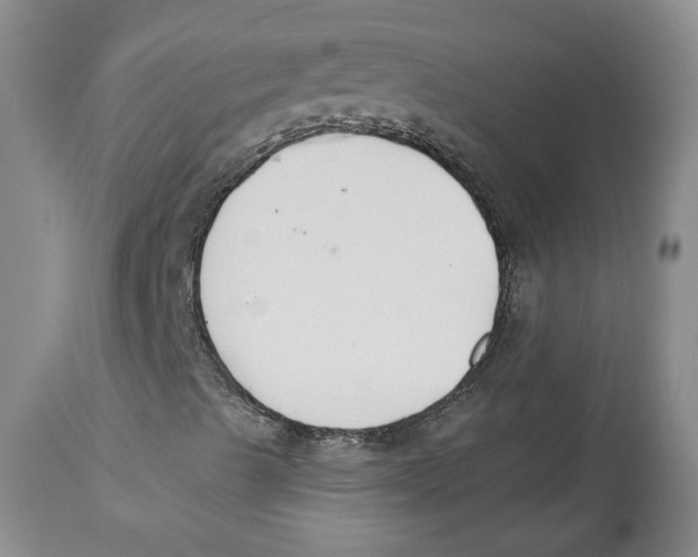 X0000112521489200909141210