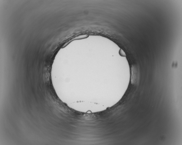 X0000112521491200909141210