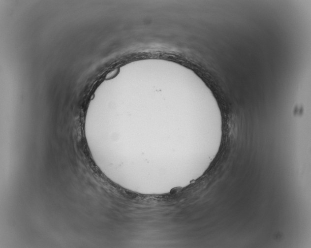 X0000112521493200909141210