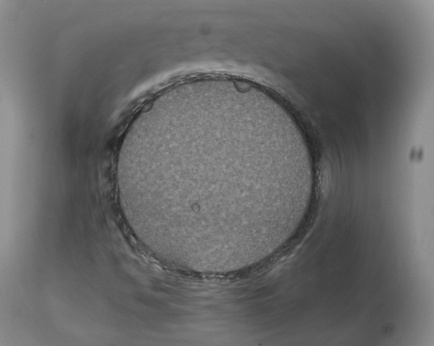 X0000112521494200909141210
