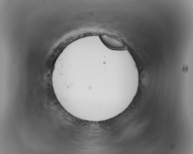 X0000112521495200909141210