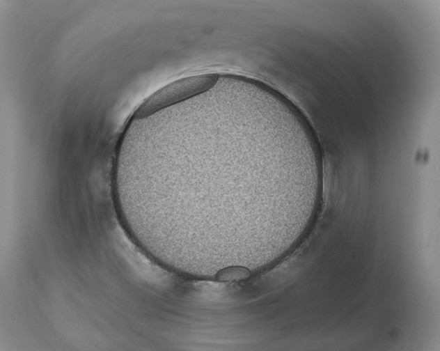 X0000112521500200909141210