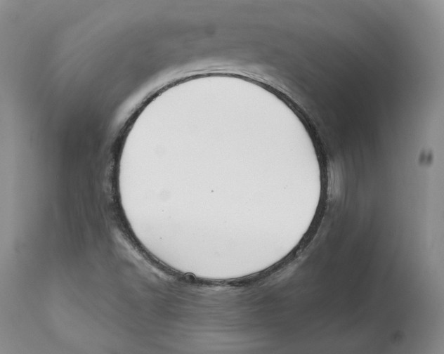 X0000112521502200909141210