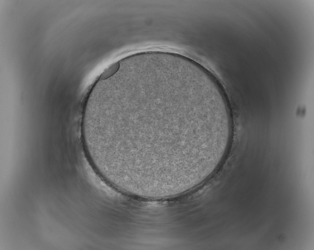 X0000112521504200909141210