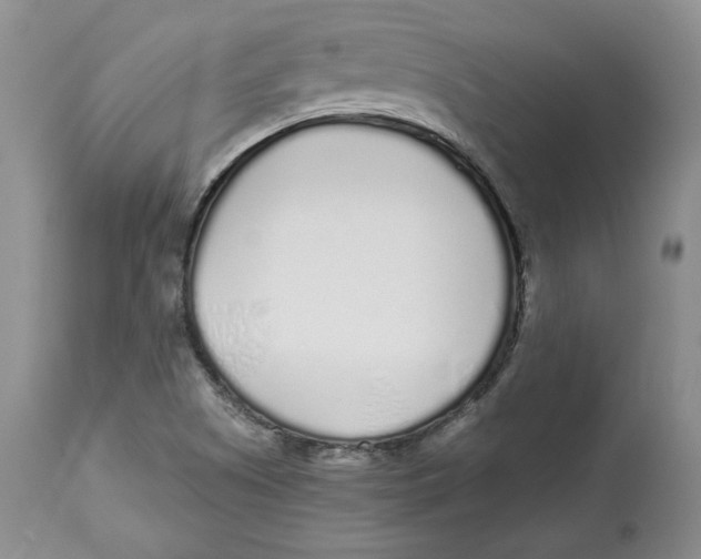 X0000112521505200909141210