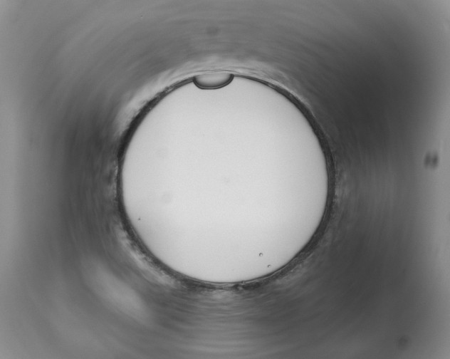 X0000112521507200909141210