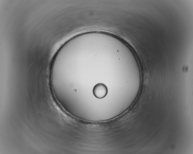 X0000112521508200909141210