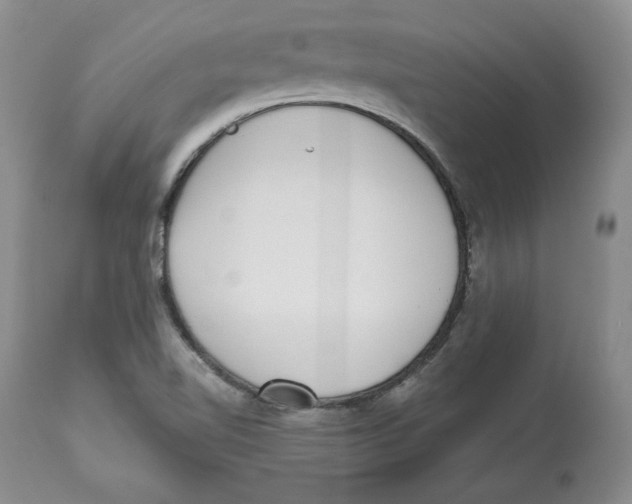 X0000112521510200909141210