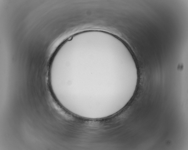 X0000112521511200909141210