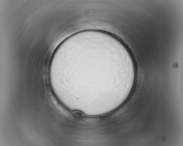 X0000112521513200909141210