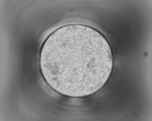 X0000112521514200909141210