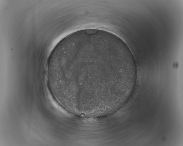 X0000112521515200909141211